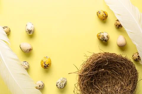 Happy Easter concept. Banner with colored quail eggs, nest, feathers on a yellow Stock Photos