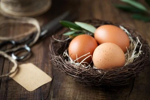 Happy Easter concept - Easter eggs in burd nest with an olive branch Stock Photos