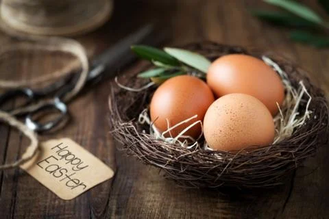 Happy Easter concept - Easter eggs in burd nest with an olive branch Stock Photos