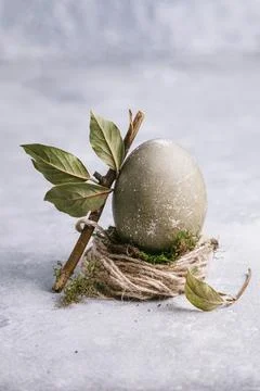 Happy easter concept. Easter painted egg in green tones in the nest and branc Фото