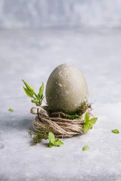Happy easter concept. Easter painted egg in green tones in the nest and branc Stock Photos
