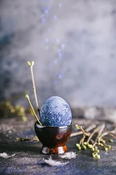 Happy easter concept. Easter painted egg in blue tones in an egg box and bran Stock Photos