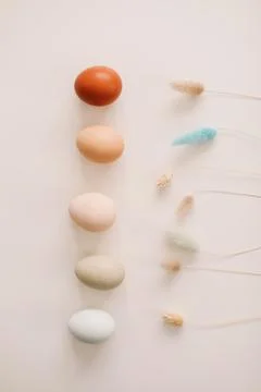 Happy Easter concept. Fresh chicken eggs of natural shades and colors on a white Stock Photos