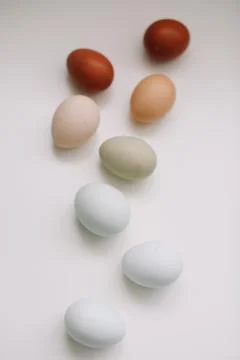 Happy Easter concept. Fresh chicken eggs of natural shades and colors on a white Stock Photos