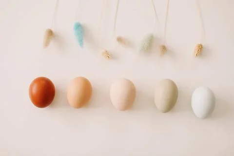 Happy Easter concept. Fresh chicken eggs of natural shades and colors on a white Foto stock