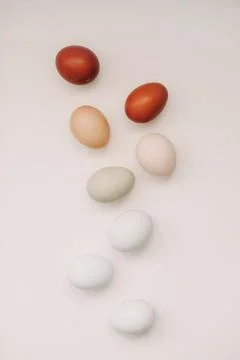 Happy Easter concept. Fresh chicken eggs of natural shades and colors on a white Stock Photos