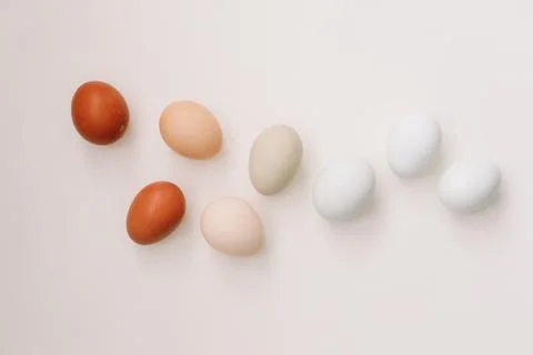 Happy Easter concept. Fresh chicken eggs of natural shades and colors on a white Stock Photos