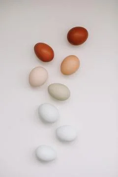 Happy Easter concept. Fresh chicken eggs of natural shades and colors on a white Stock Photos