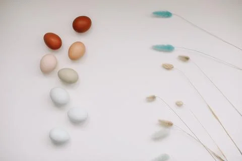 Happy Easter concept. Fresh chicken eggs of natural shades and colors on a white Stock Photos