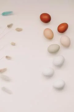 Happy Easter concept. Fresh chicken eggs of natural shades and colors on a white Stock Photos