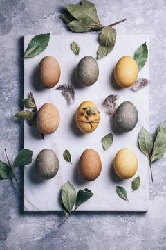 Happy easter concept. Multicolored easter painted eggs and branches with leav Stock Photos