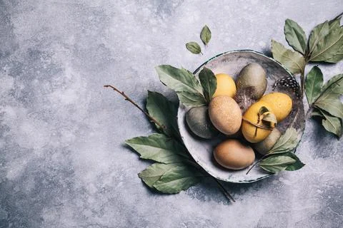 Happy easter concept. Multicolored easter painted eggs and branches with leav Stock Photos