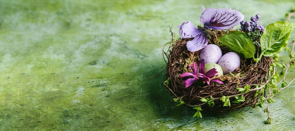 Happy easter concept. Multicolored easter painted eggs in the nest, flowers a Stock Photos