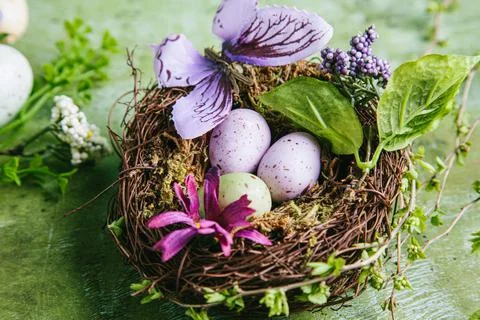 Happy easter concept. Multicolored easter painted eggs in the nest, flowers a Stock Photos