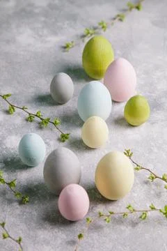 Happy easter concept. Multicolored easter painted eggs and branches with buds Stock Photos