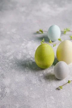 Happy easter concept. Multicolored easter painted eggs and branches with buds Фото
