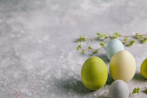 Happy easter concept. Multicolored easter painted eggs and branches with buds Stock Photos