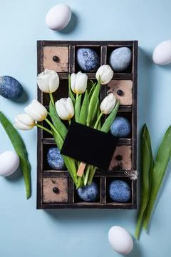 Happy easter concept. Multicolored easter painted eggs in blue tones in a woo Stock Photos
