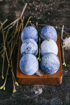 Happy easter concept. Multicolored easter painted eggs in blue tones in an eg Stock Photos