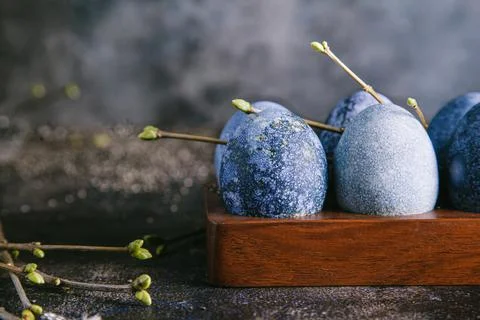 Happy easter concept. Multicolored easter painted eggs in blue tones in an eg Stock Photos