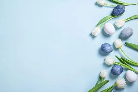 Happy easter concept. Multicolored easter painted eggs in blue tones and tuli Stock Photos