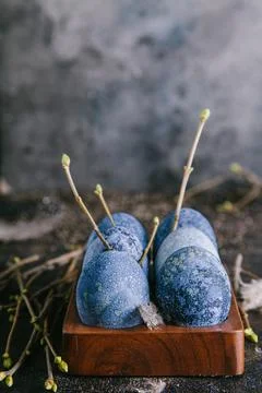 Happy easter concept. Multicolored easter painted eggs in blue tones in an eg Фото