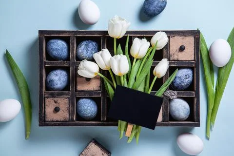 Happy easter concept. Multicolored easter painted eggs in blue tones in a woo Stock Photos