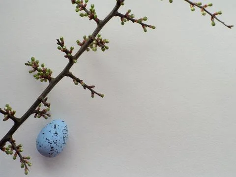 Happy Easter concept Stock Photos