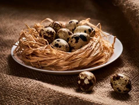 Happy Easter Concept. Quail eggs in nest. Congratulations Easter background Stock-Fotos