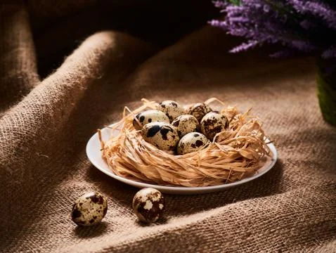 Happy Easter Concept. Quail eggs. Congratulations Easter background. Easter eggs Stock Photos