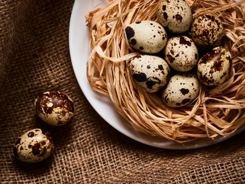 Happy Easter Concept. Quail eggs. Congratulations Easter background. Easter eggs Stock Photos