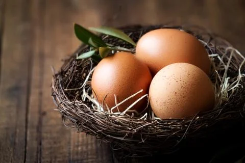 Happy Easter concept - rustic nest with three fresh eggs and olive branch Stock Photos