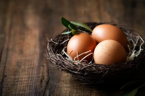 Happy Easter concept - rustic nest with fresh eggs and olive branch Stock Photos