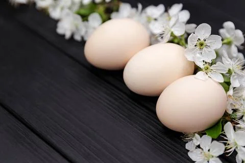 Happy easter concept with spring flowers. Natural floral decorations Foto stock