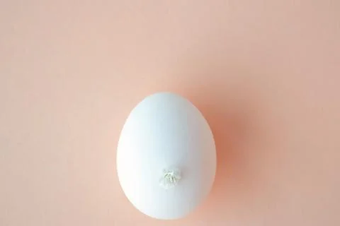 Happy Easter concept. top view of white egg with Easter bunny tail made fro.. Stock Photos