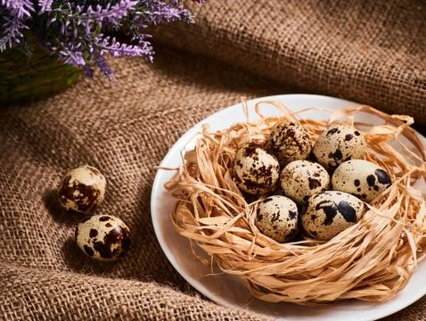 Happy Easter. Congratulations Easter background. Easter eggs and flowers. Stock Photos