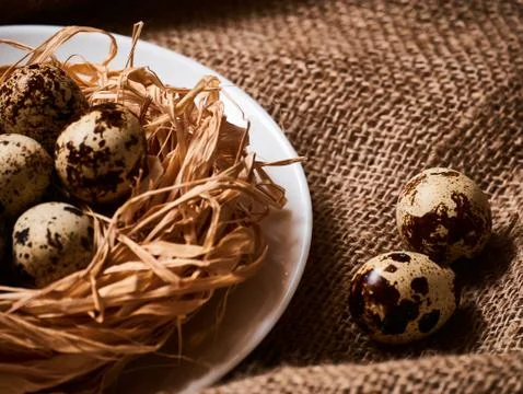 Happy Easter. Congratulations Easter background. Easter eggs and flowers Stock Photos