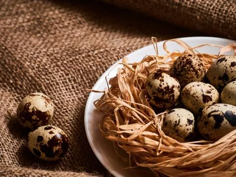 Happy Easter. Congratulations Easter background. Easter eggs and flowers Stock Photos