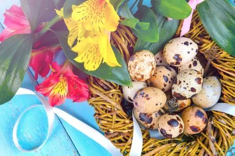 Happy Easter. Congratulatory easter background. Easter eggs and flowers. Stock Photos