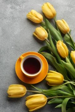 Happy Easter. Congratulatory easter background. Easter eggs and flowers Stock Photos