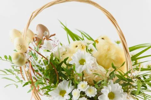 Happy Easter. Congratulatory easter background. Easter eggs and flowers Stock Photos