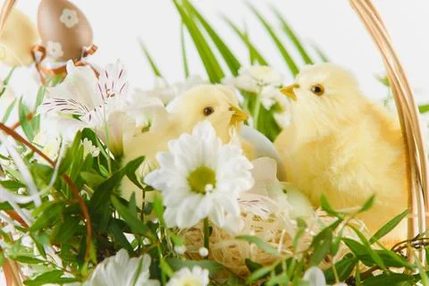 Happy Easter. Congratulatory easter background. Easter eggs and flowers Stock Photos