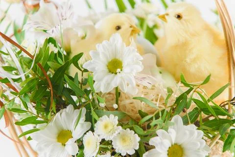 Happy Easter. Congratulatory easter background. Easter eggs and flowers Stock Photos