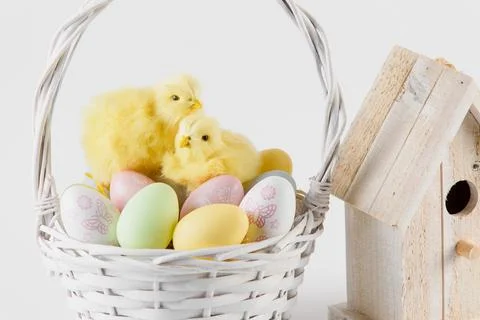 Happy Easter. Congratulatory easter background. Easter eggs and flowers Stock Photos