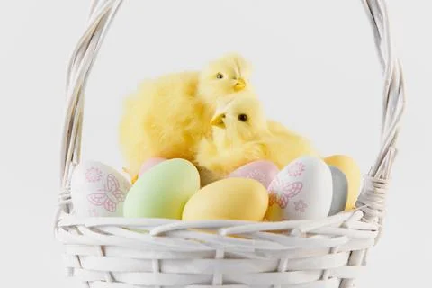 Happy Easter. Congratulatory easter background. Easter eggs and flowers Stock Photos