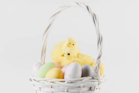 Happy Easter. Congratulatory easter background. Easter eggs and flowers Stock Photos