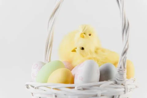 Happy Easter. Congratulatory easter background. Easter eggs and flowers Stock Photos