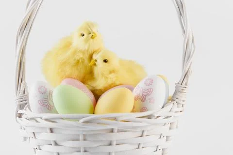 Happy Easter. Congratulatory easter background. Easter eggs and flowers Stock Photos