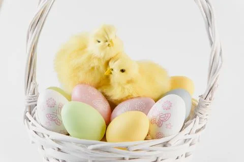 Happy Easter. Congratulatory easter background. Easter eggs and flowers Stock Photos