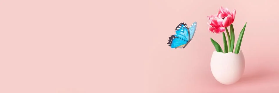 Happy Easter creative concept. Pink tulip flower in white egg and butterfly on Stock Photos